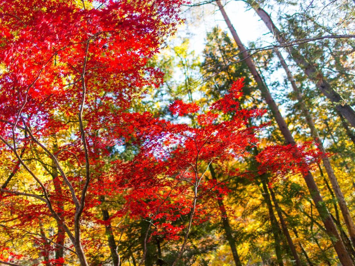 日本の宿　ひだ高山　倭乃里 5* 高山市