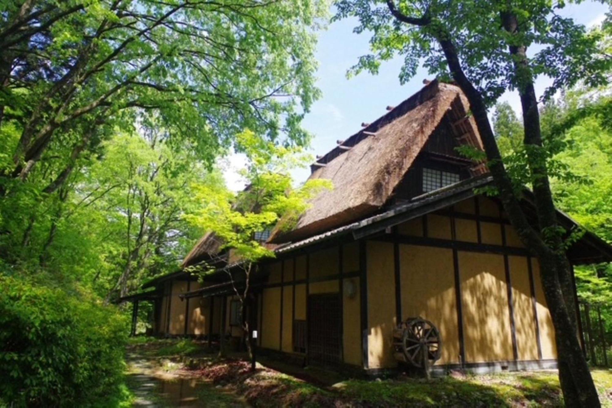 Ryokan Wanosato 5*