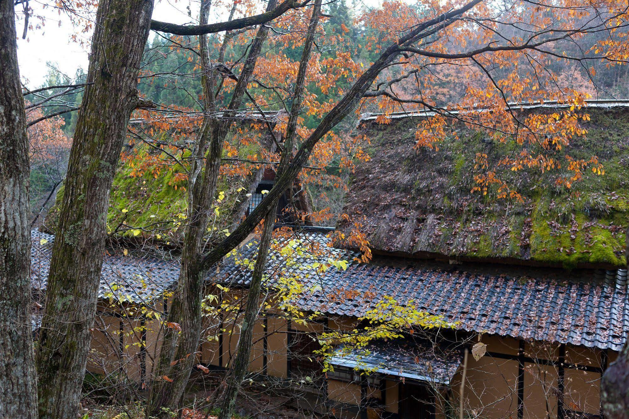 Wanosato